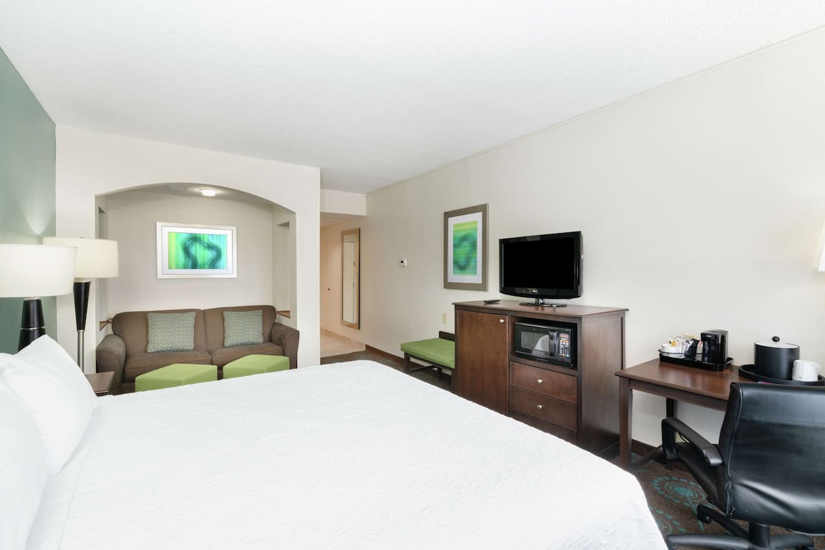 Room, 1 King Bed with Sofa bed, Non Smoking