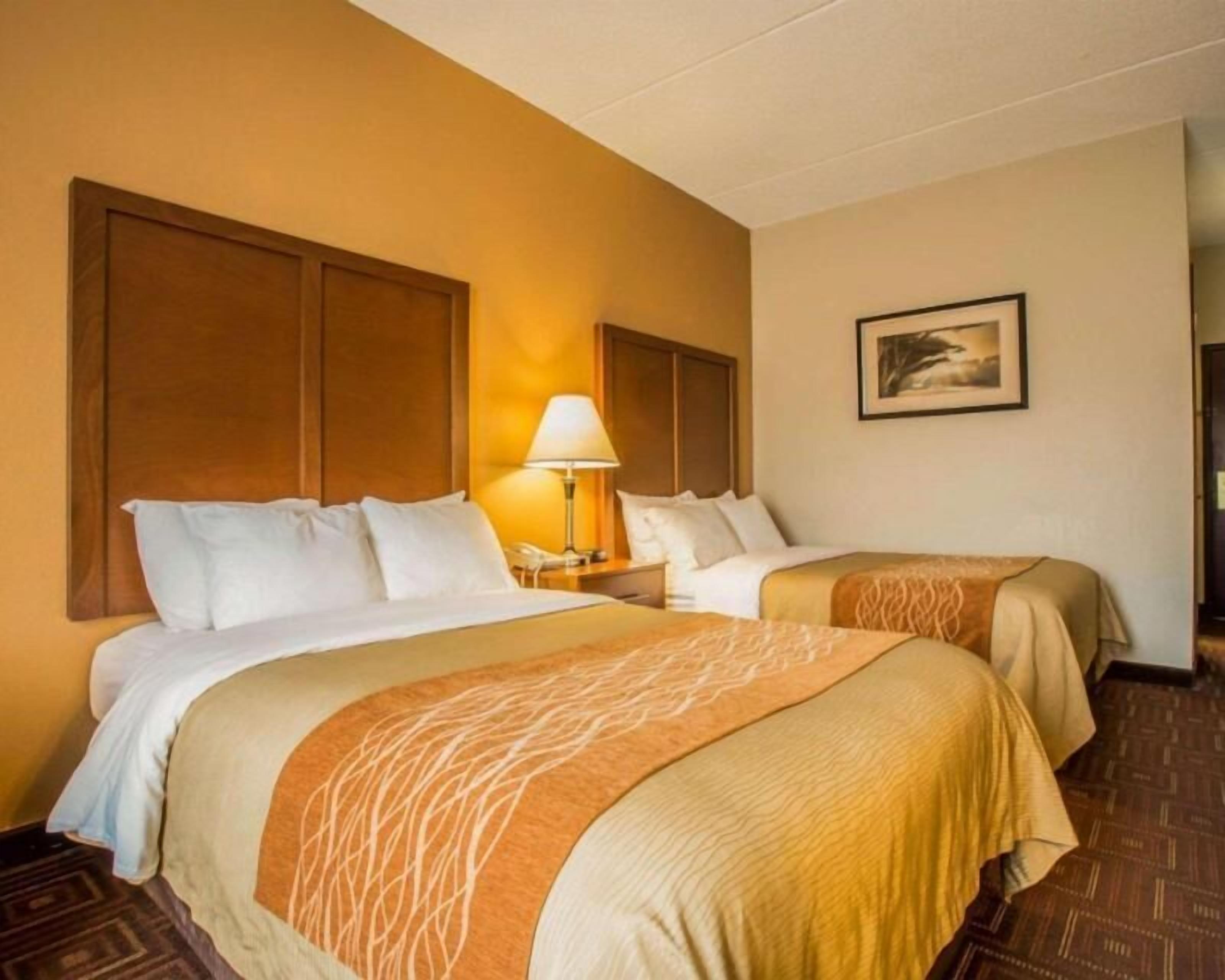 Desk, blackout curtains, iron/ironing board, free cots/infant beds