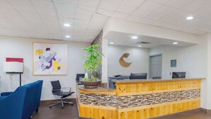 Una zona de recepción con mostrador de madera, una planta en maceta, una silla azul y un cuadro abstracto enmarcado en la pared.