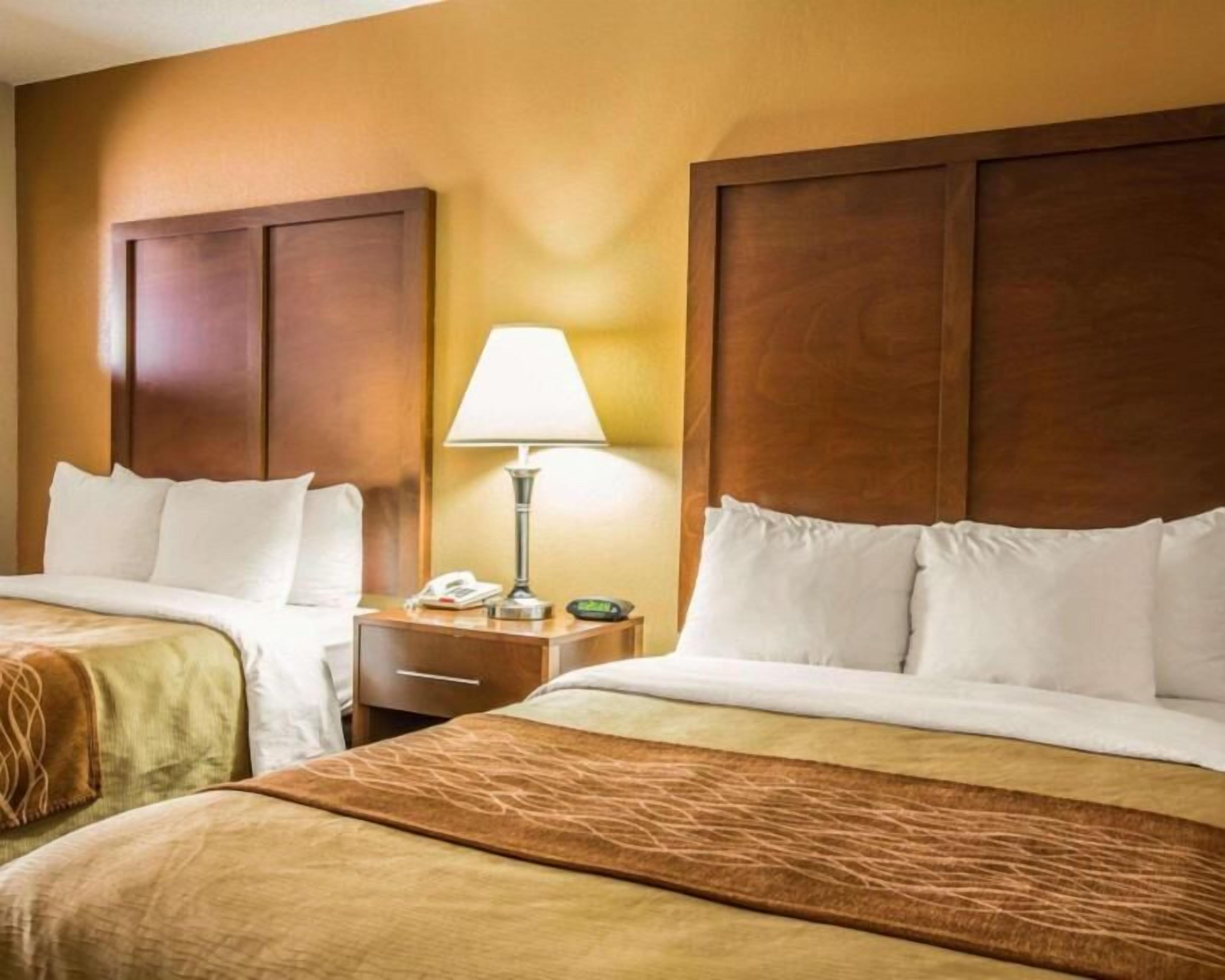 Desk, blackout curtains, iron/ironing board, free cots/infant beds