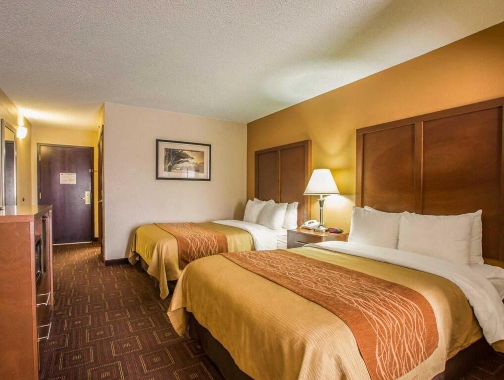 Desk, blackout curtains, iron/ironing board, free cots/infant beds