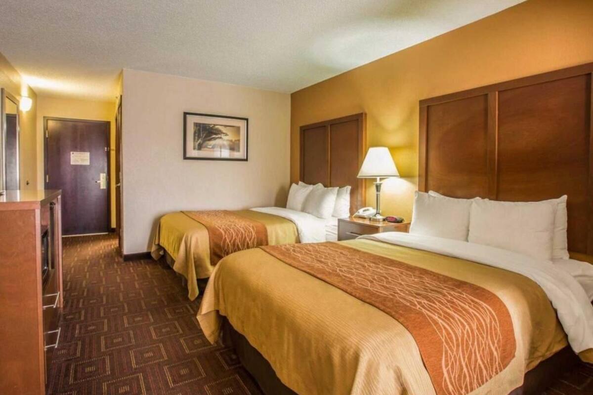 A hotel room with two beds, a nightstand with a lamp, a framed picture on the wall, and a door.