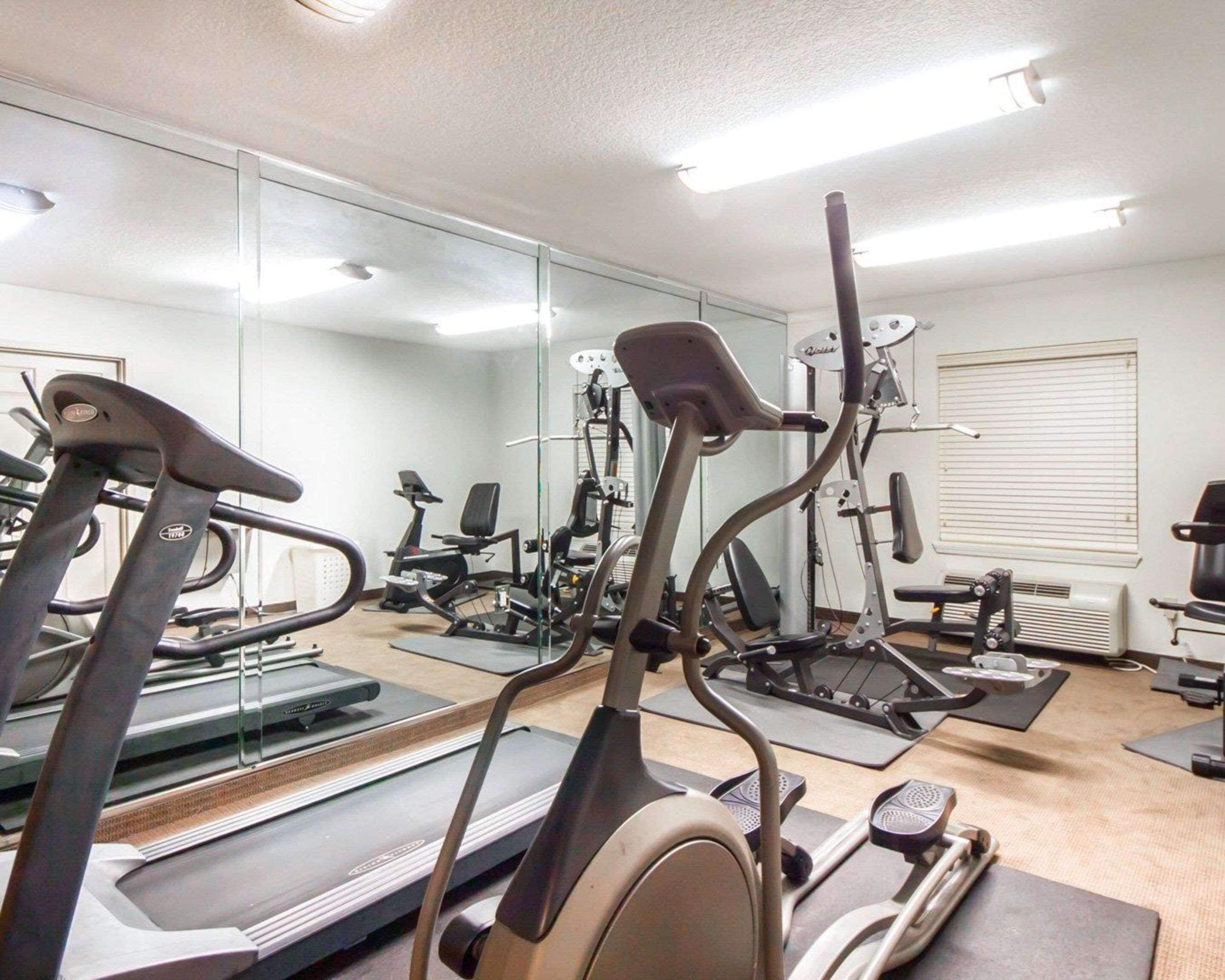 A gym with treadmills, elliptical machines, and weight equipment.