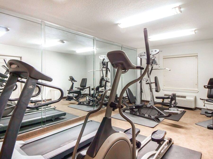 A gym with treadmills, elliptical machines, and weight equipment.