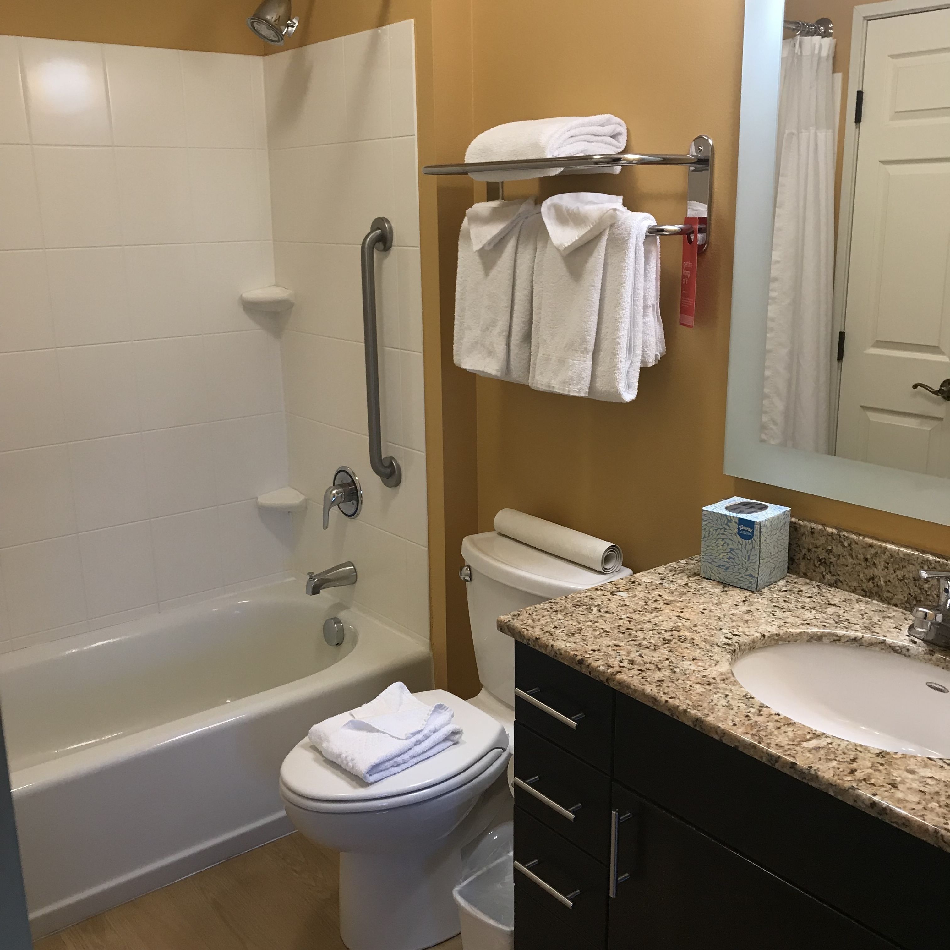 combined shower/bathtub, free toiletries, hair dryer, towels