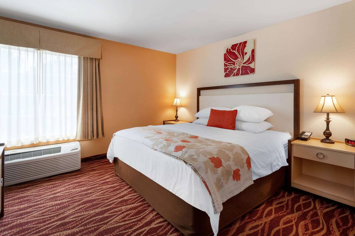Ein Hotelzimmer mit einem großen Bett, zwei Nachttischen mit Lampen, einem Fenster mit Vorhängen und einem an der Wand hängenden Kunstwerk.