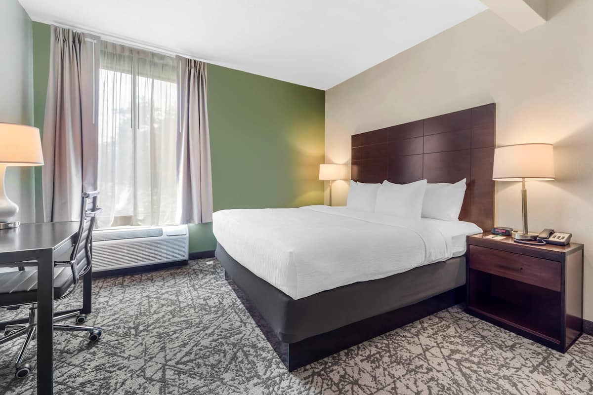 Business Room, 1 King Bed with Sofa bed, Non Smoking | In-room safe, desk, blackout drapes, iron/ironing board