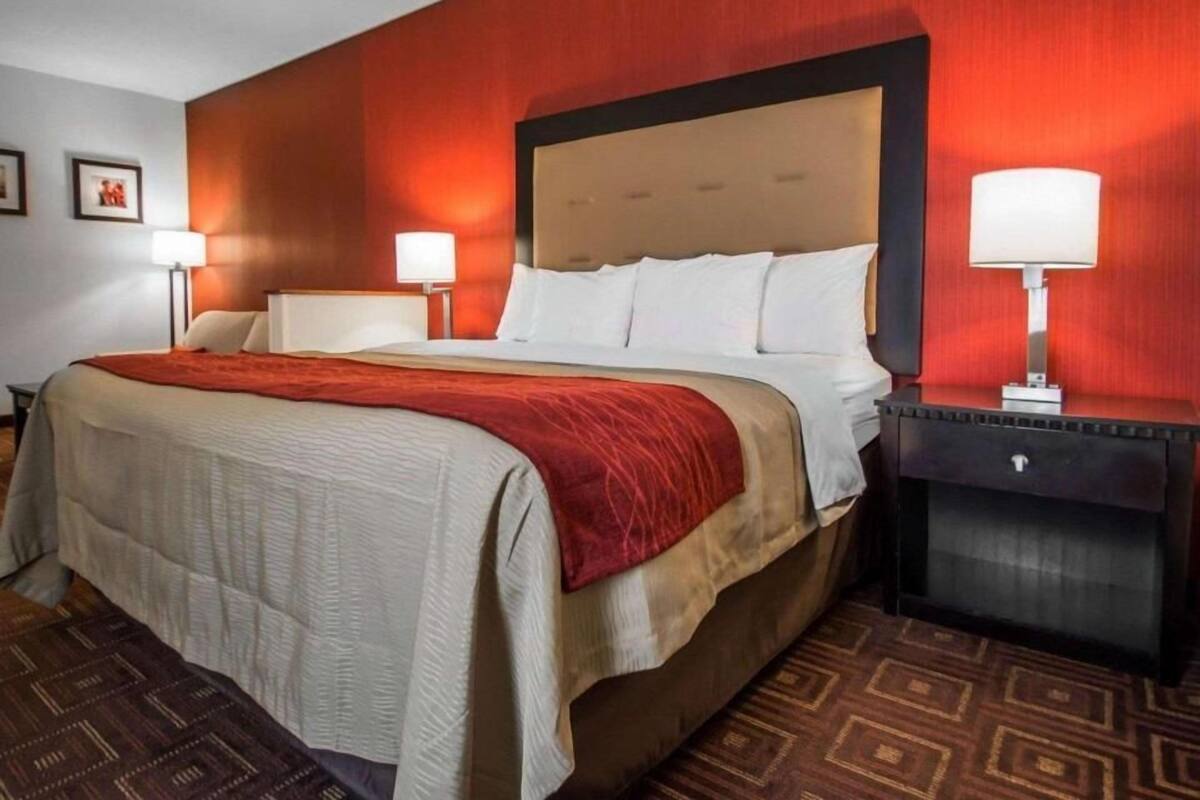 Een hotelkamer met een groot bed, twee nachtkastjes met lampen, een donker hoofdeinde en een kamerbreed tapijt met dessin.