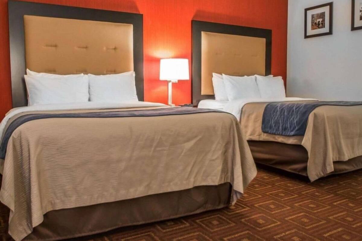 Two beds with headboards, a lamp, and a patterned carpet in a hotel room.
