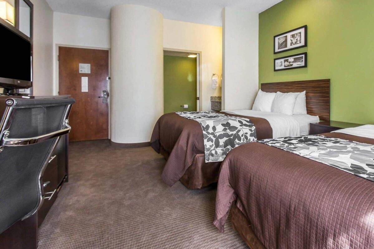 Une chambre d’hôtel avec deux lits, une télévision, un bureau et un mur d’accent de couleur verte.
