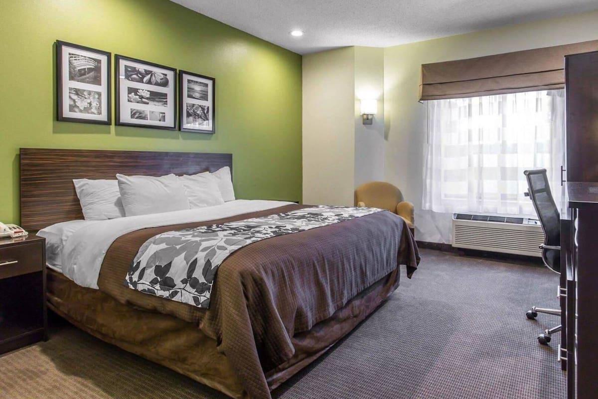 Une chambre d’hôtel avec un lit, une chaise, un bureau avec un téléphone, une télévision et des tableaux encadrés au mur.