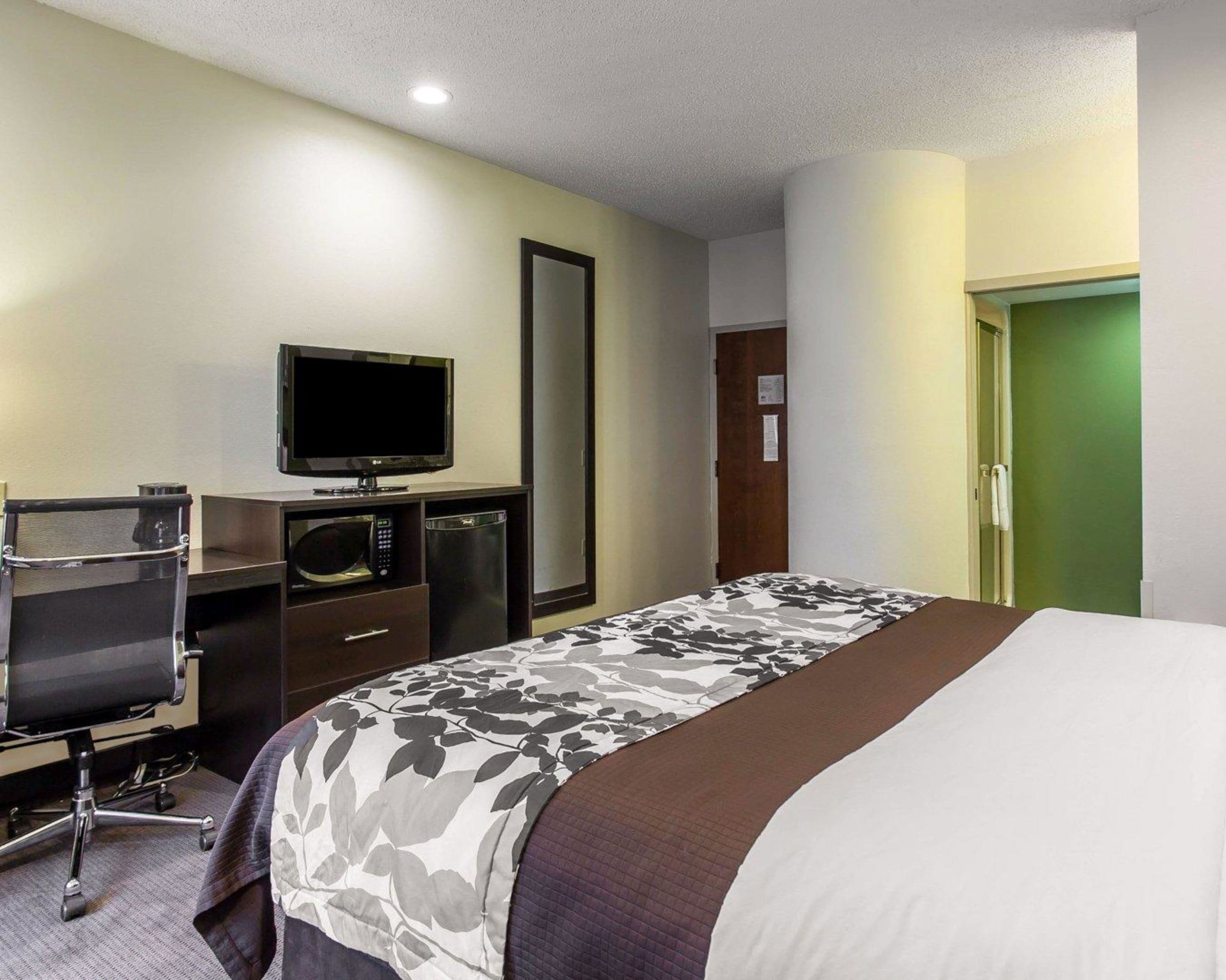 A hotel room with a bed, a desk with a chair, a television, a microwave, and a mirror.