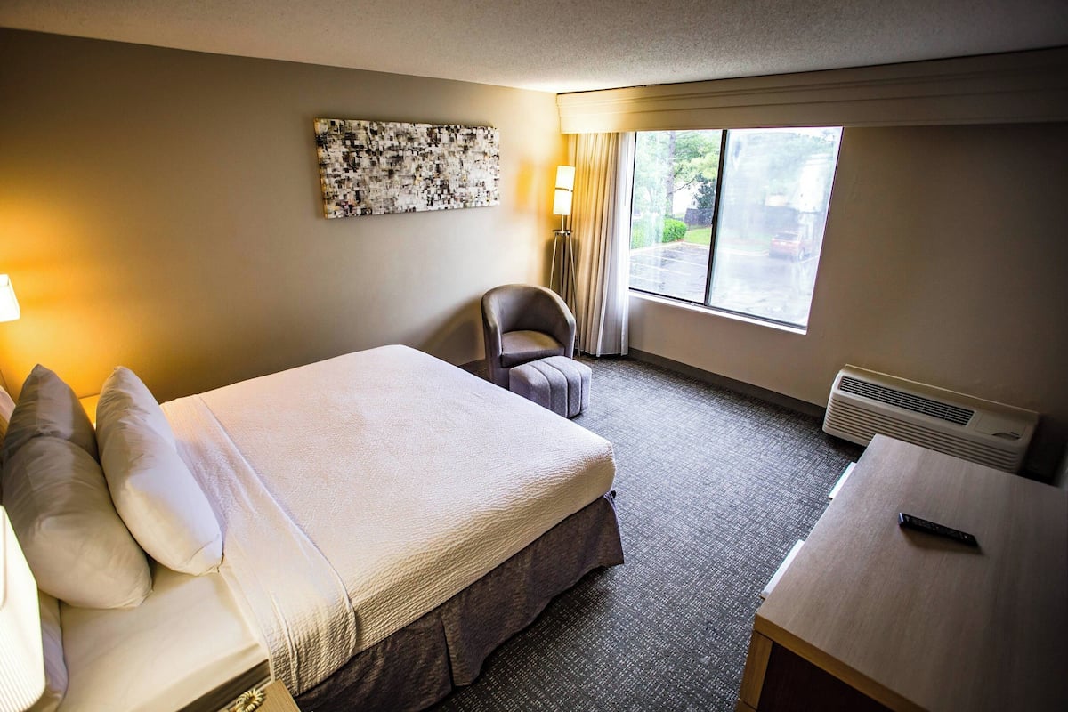 Premium bedding, desk, laptop workspace, iron/ironing board