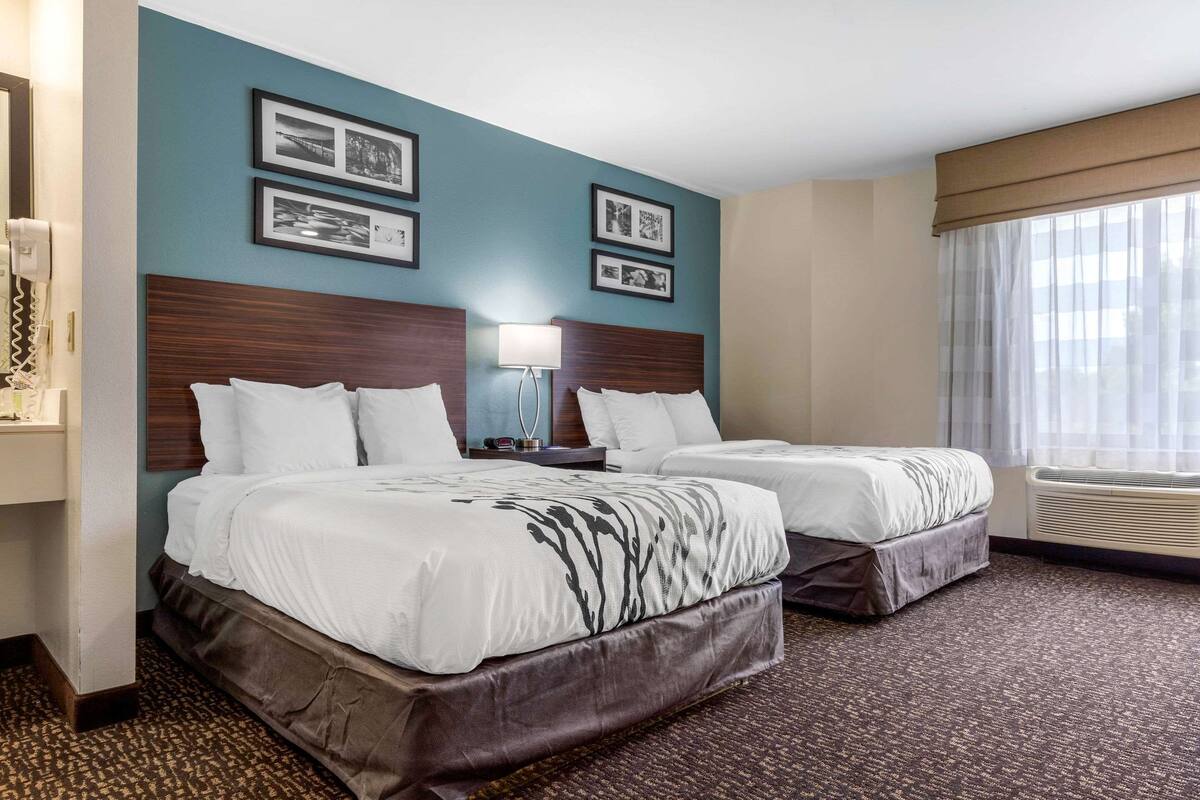Habitación de hotel con dos camas, un ventanal con cortinas translúcidas y obras de arte colgadas en la pared.