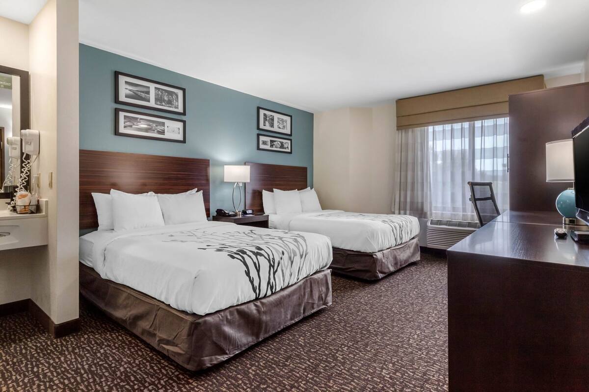 Habitación de hotel con dos camas, un escritorio, una silla, un televisor y cuadros en la pared.
