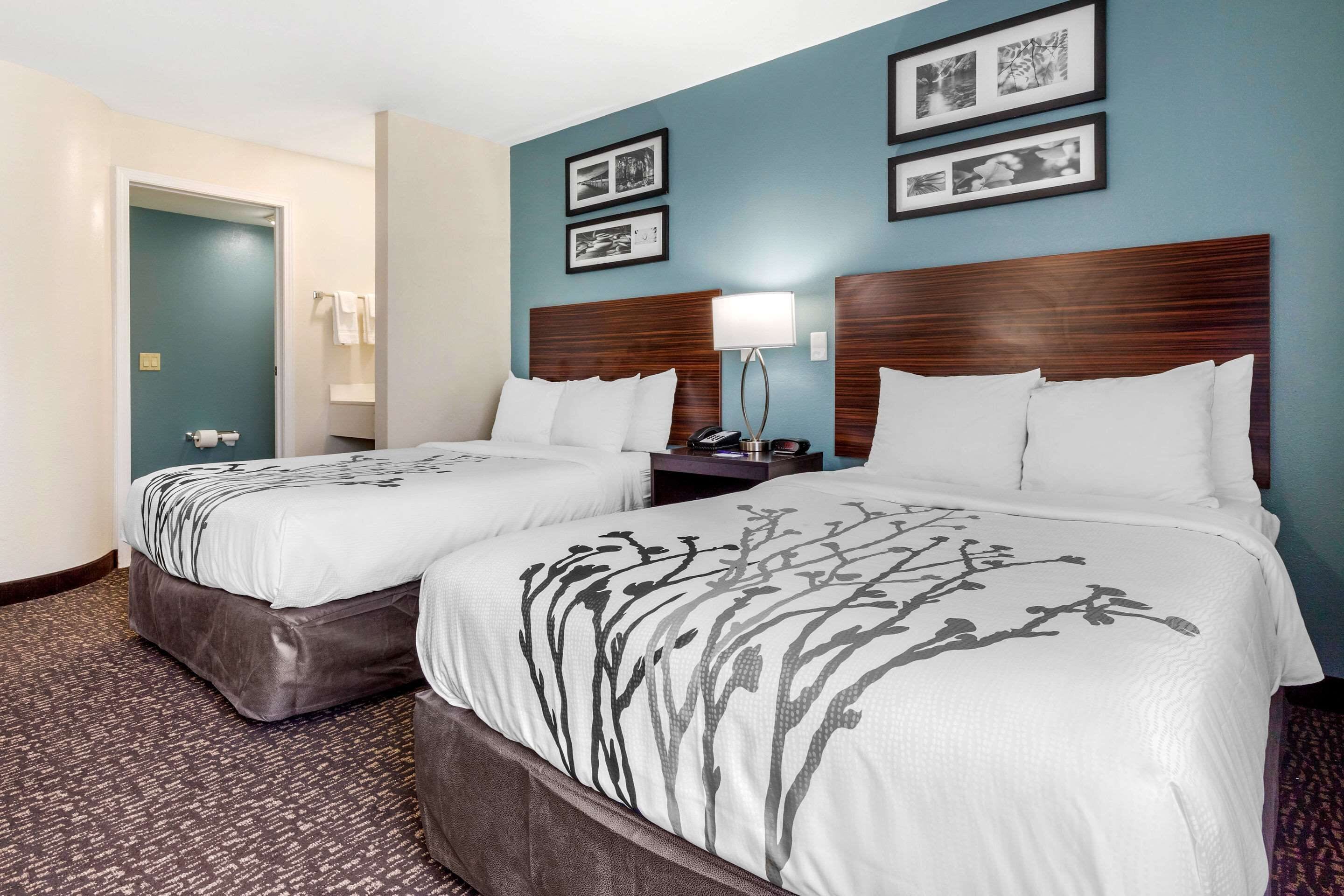 standard room, 2 double beds, non smoking | desk, laptop workspace, iron/ironing board, free cots/infant beds