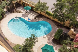 Outdoor pool, pool umbrellas, sun loungers