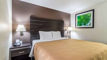 A hotel room with a large bed, a nightstand with a lamp, a phone, and a framed picture on the wall.