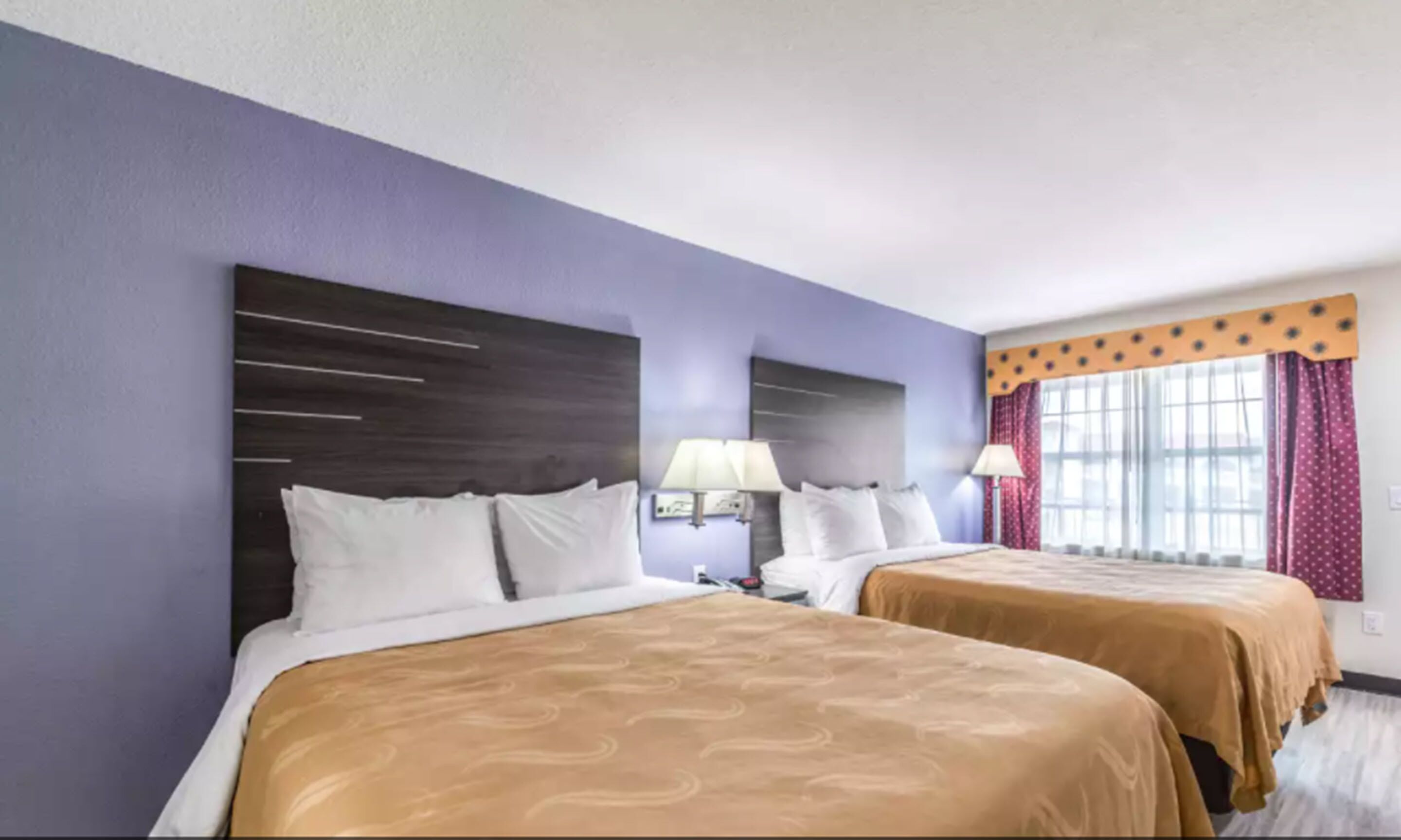A hotel room with two beds, purple walls, and a window with curtains.
