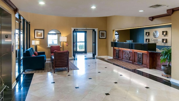 A hotel lobby with a reception desk, a blue sofa, a red chair, and a large potted plant. - Comfort Inn North Conroe (Conroe)