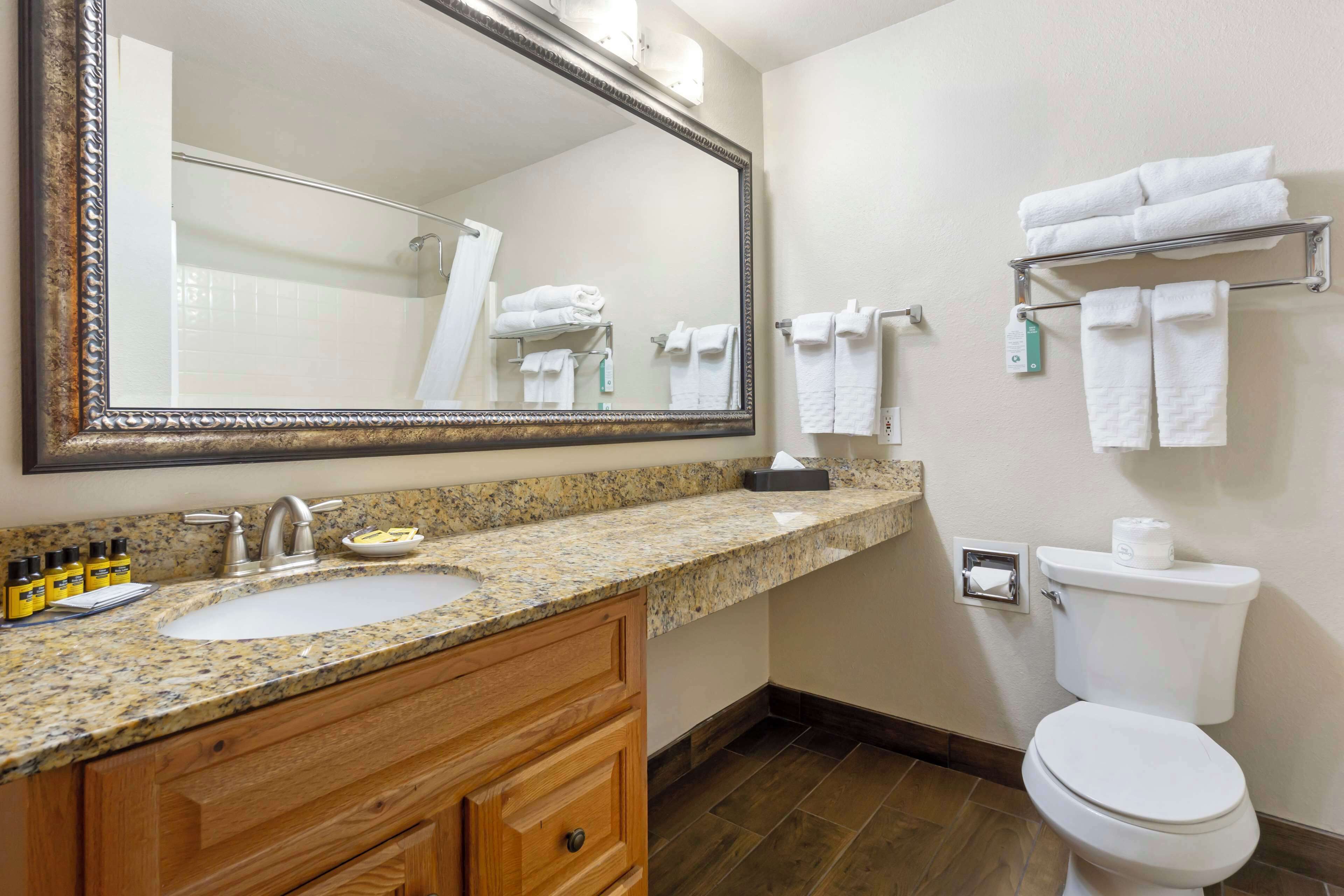 combined shower/bathtub, free toiletries, hair dryer, towels