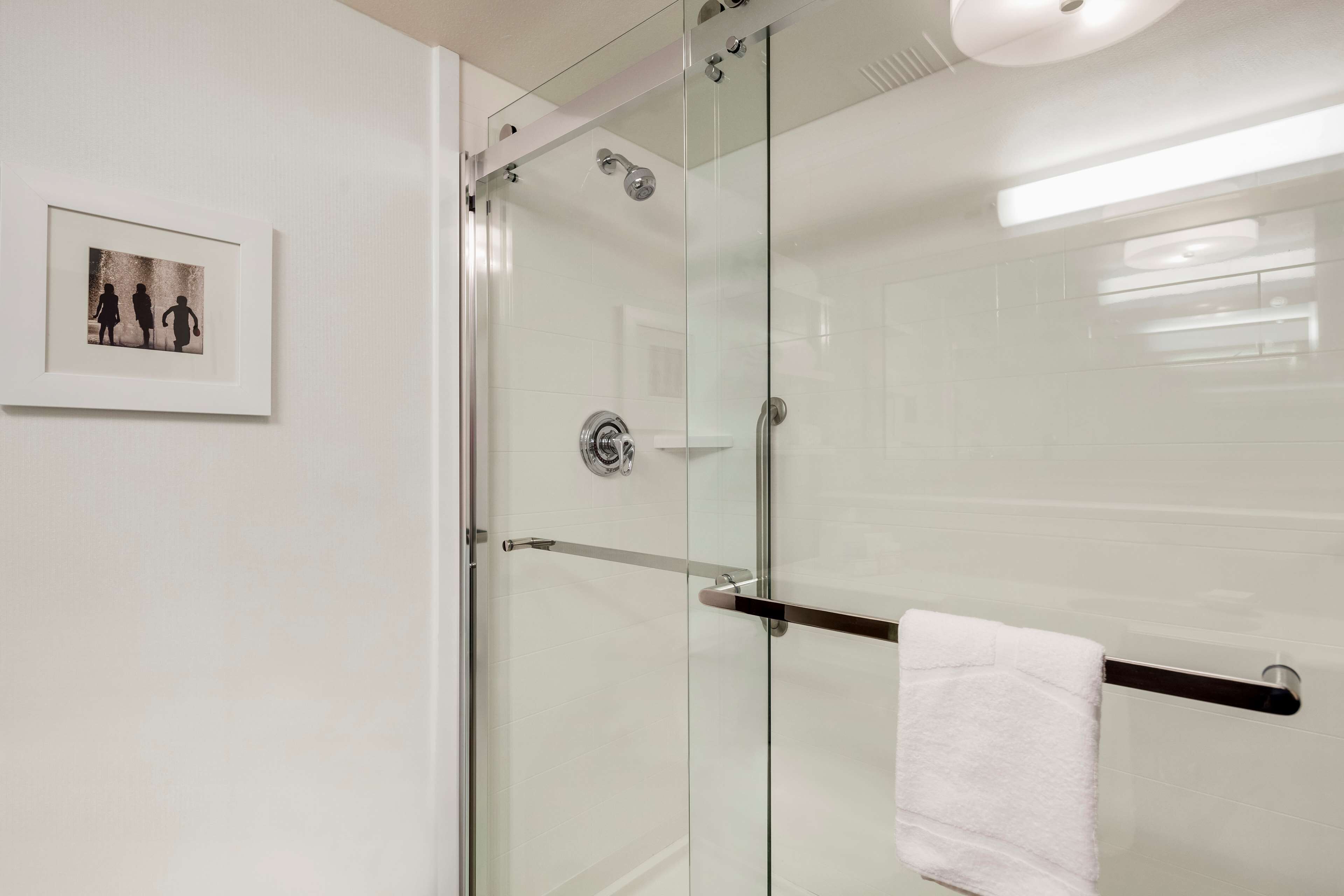 A modern bathroom with a glass shower enclosure, a towel rack, and a framed photograph on the wall.