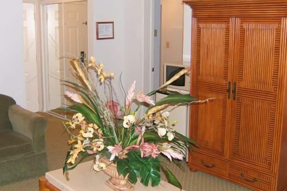 suite room 1 king bed + parlor room | living room | tv