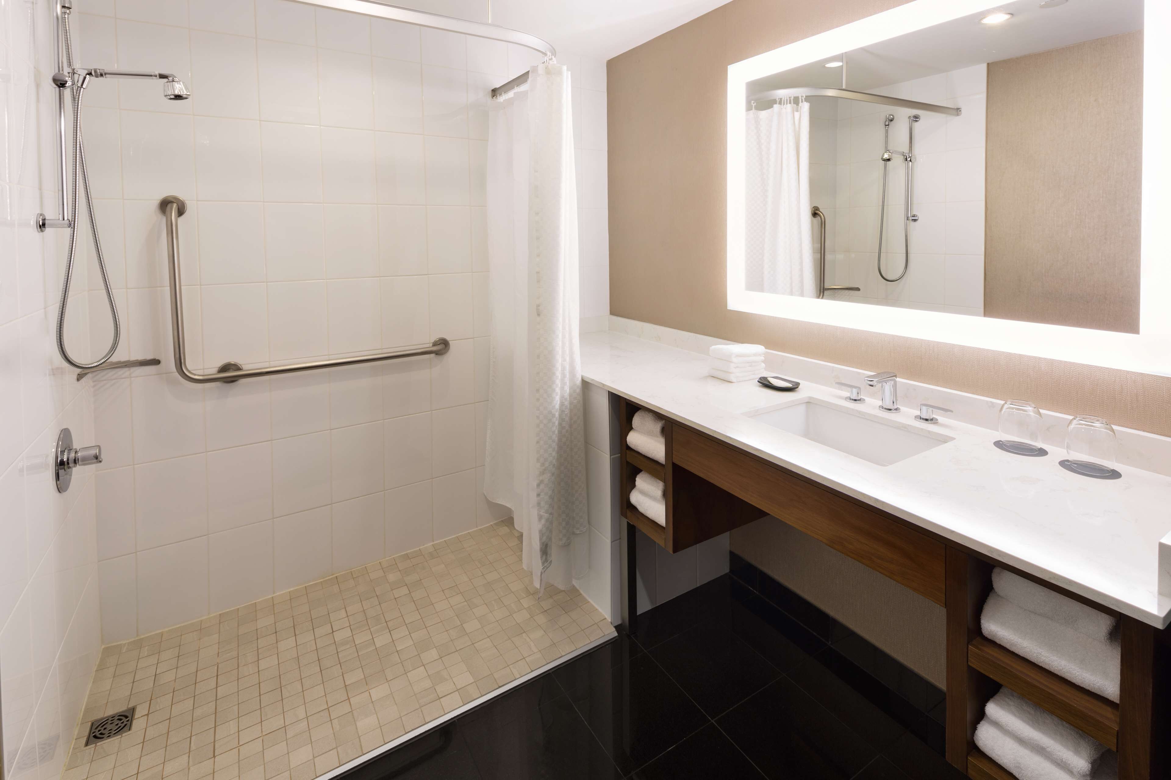 room, 1 king bed, accessible (roll-in shower) | bathroom shower