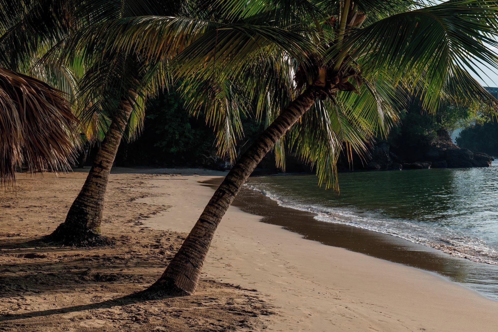 Photo - Eurostars Grand Cayacoa