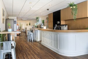 A modern cafe with a wooden counter, metal chairs, and hanging plants.