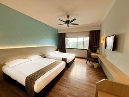 Caja de seguridad en la habitación, escritorio y cortinas blackout 