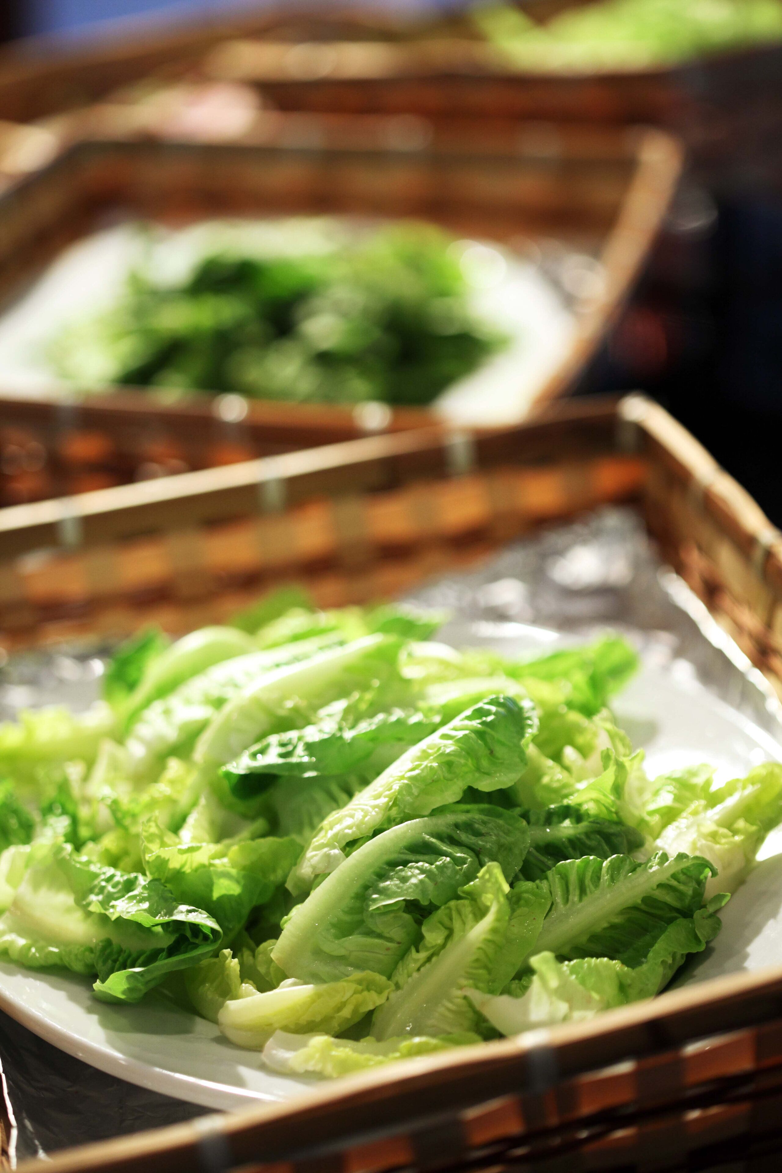 A tray of fresh lettuce leaves on a white plate, placed on a wooden surface.
