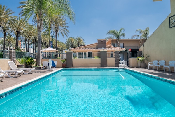 Outdoor pool, sun loungers