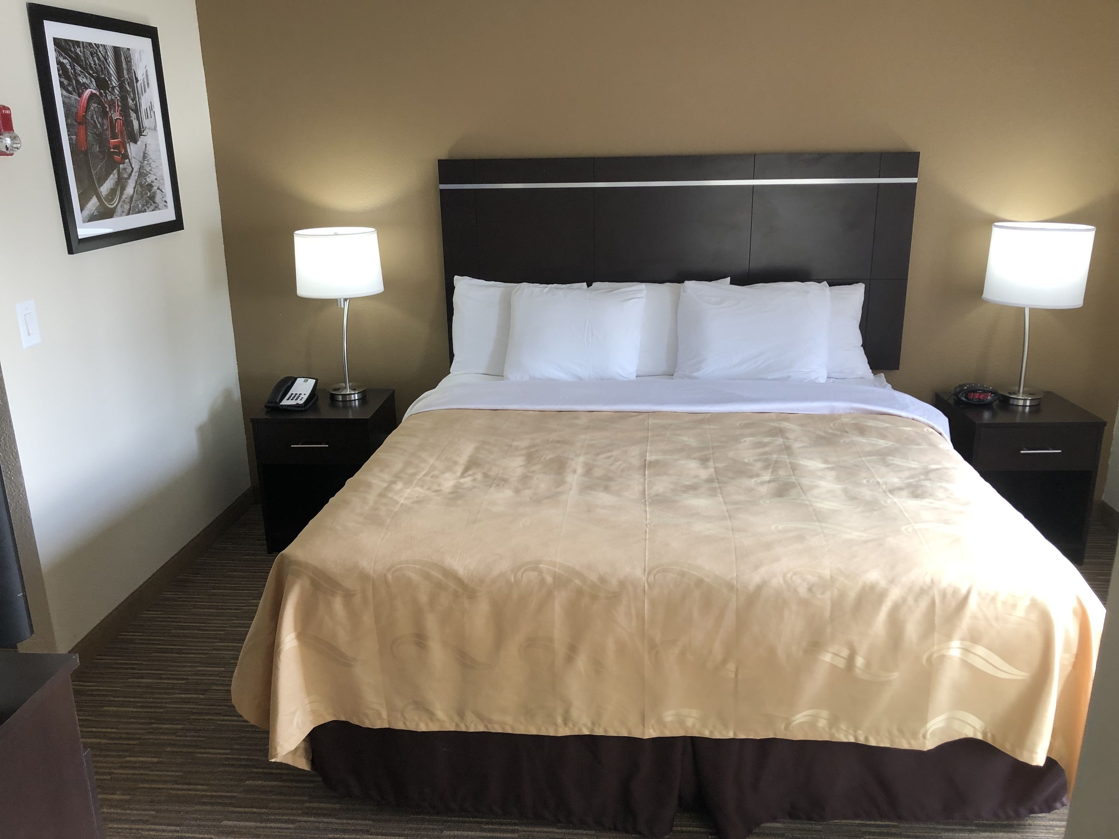 Een hotelkamer met een groot bed, twee nachtkastjes met lampen, een ingelijst schilderij aan de muur en een vloerbedekking.