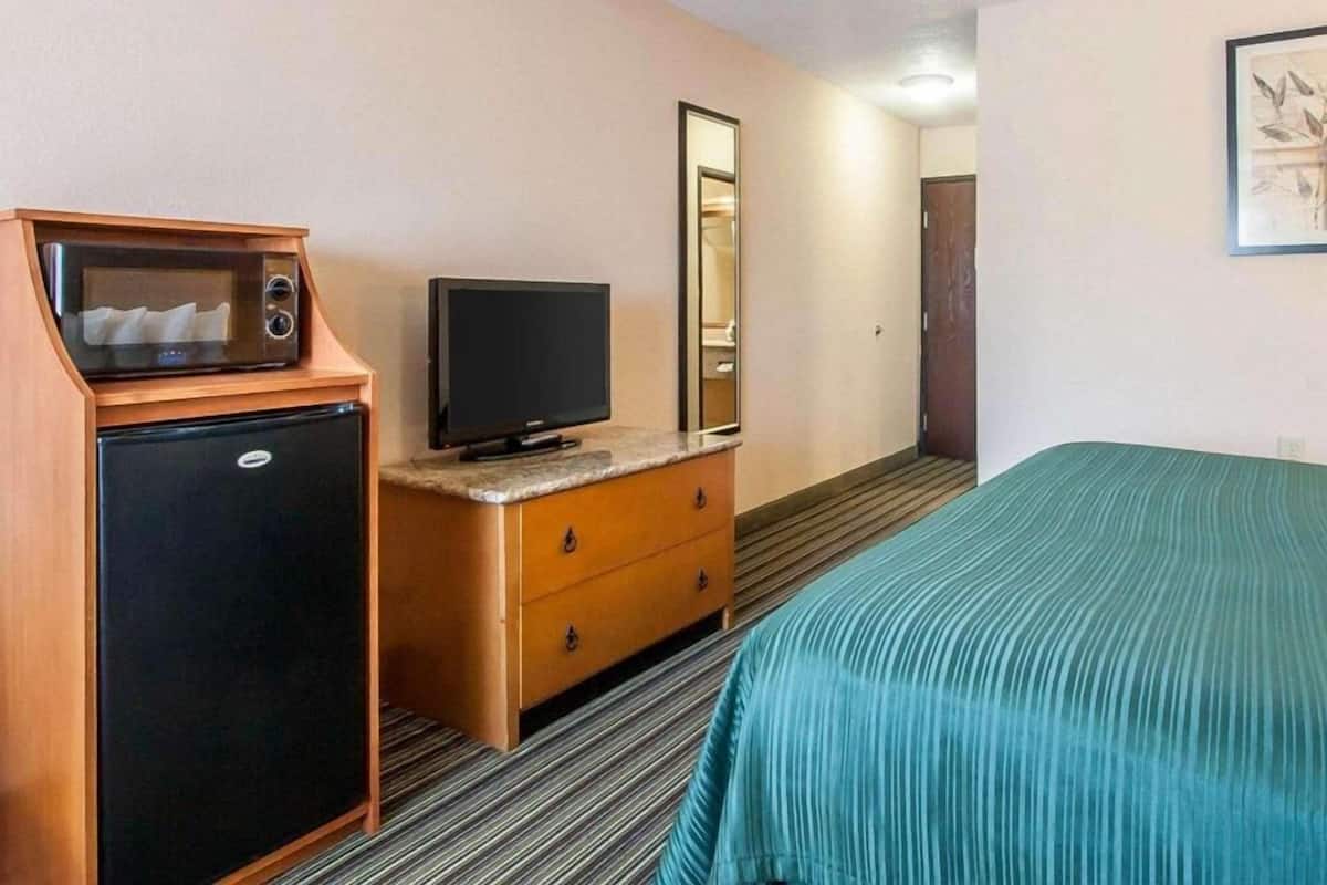 Habitación de hotel con una cama, un televisor sobre una cómoda de madera, un refrigerador, un espejo y un cuadro en la pared.