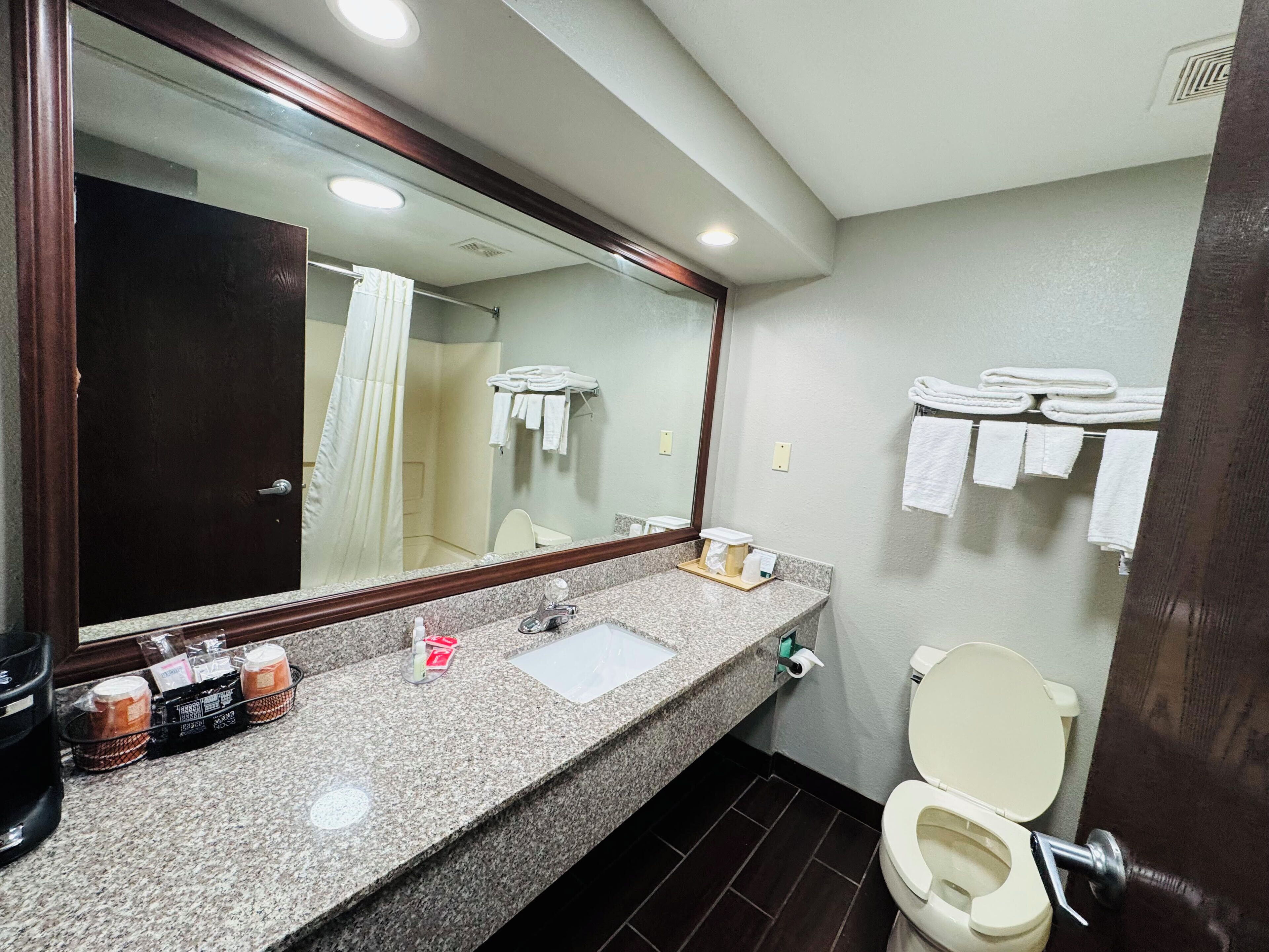 A bathroom with a granite countertop, a sink, a toilet, and a large mirror.