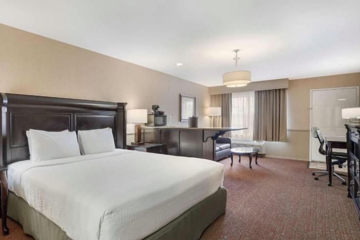 A hotel room with a large bed, a desk, a chair, and a TV.