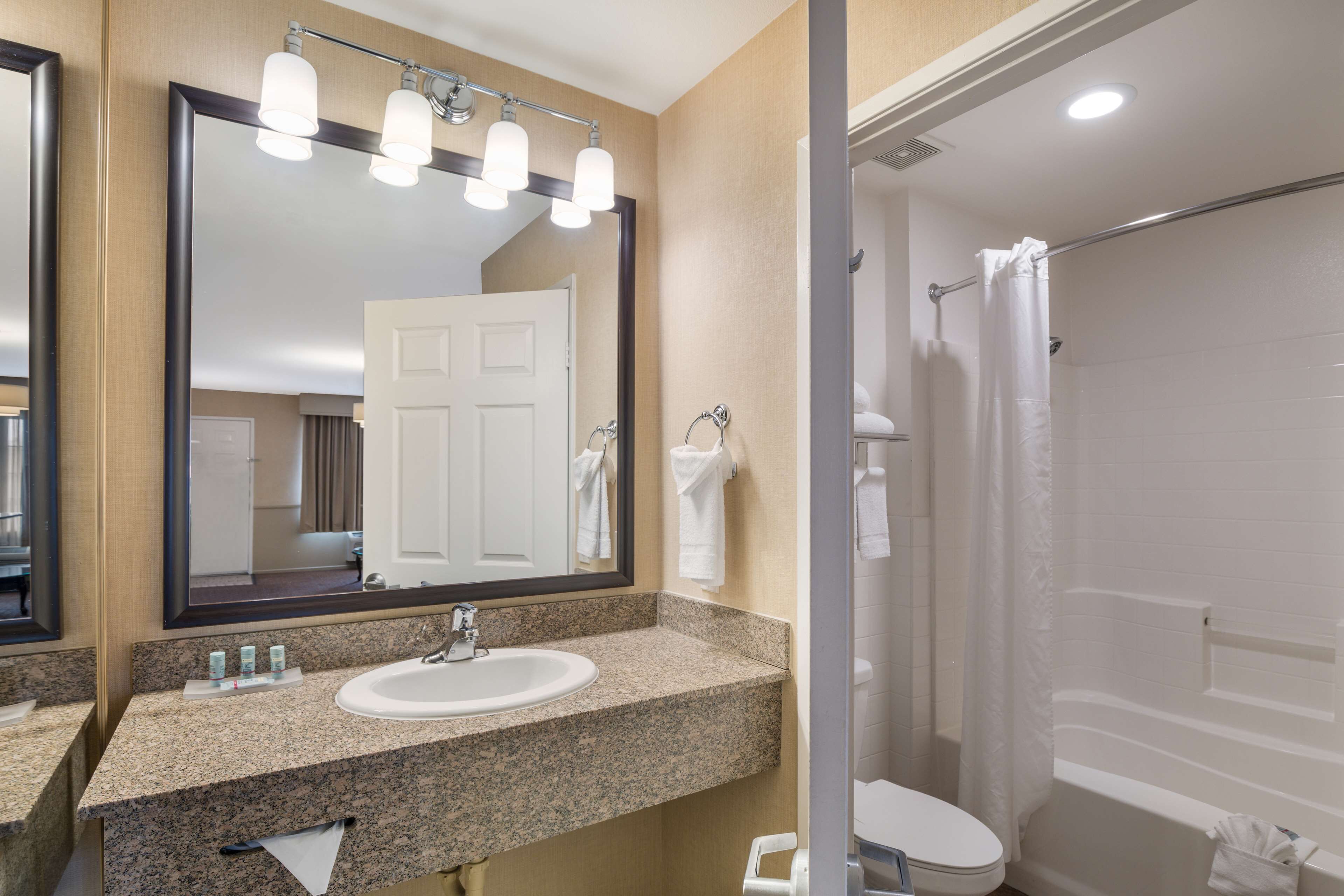 combined shower/bathtub, free toiletries, hair dryer, towels