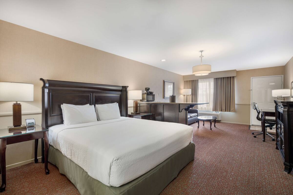 Habitación de hotel con una cama grande, un escritorio, una silla, una lámpara de escritorio, un televisor y una ventana con cortinas.