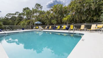 Outdoor pool, pool umbrellas, pool loungers