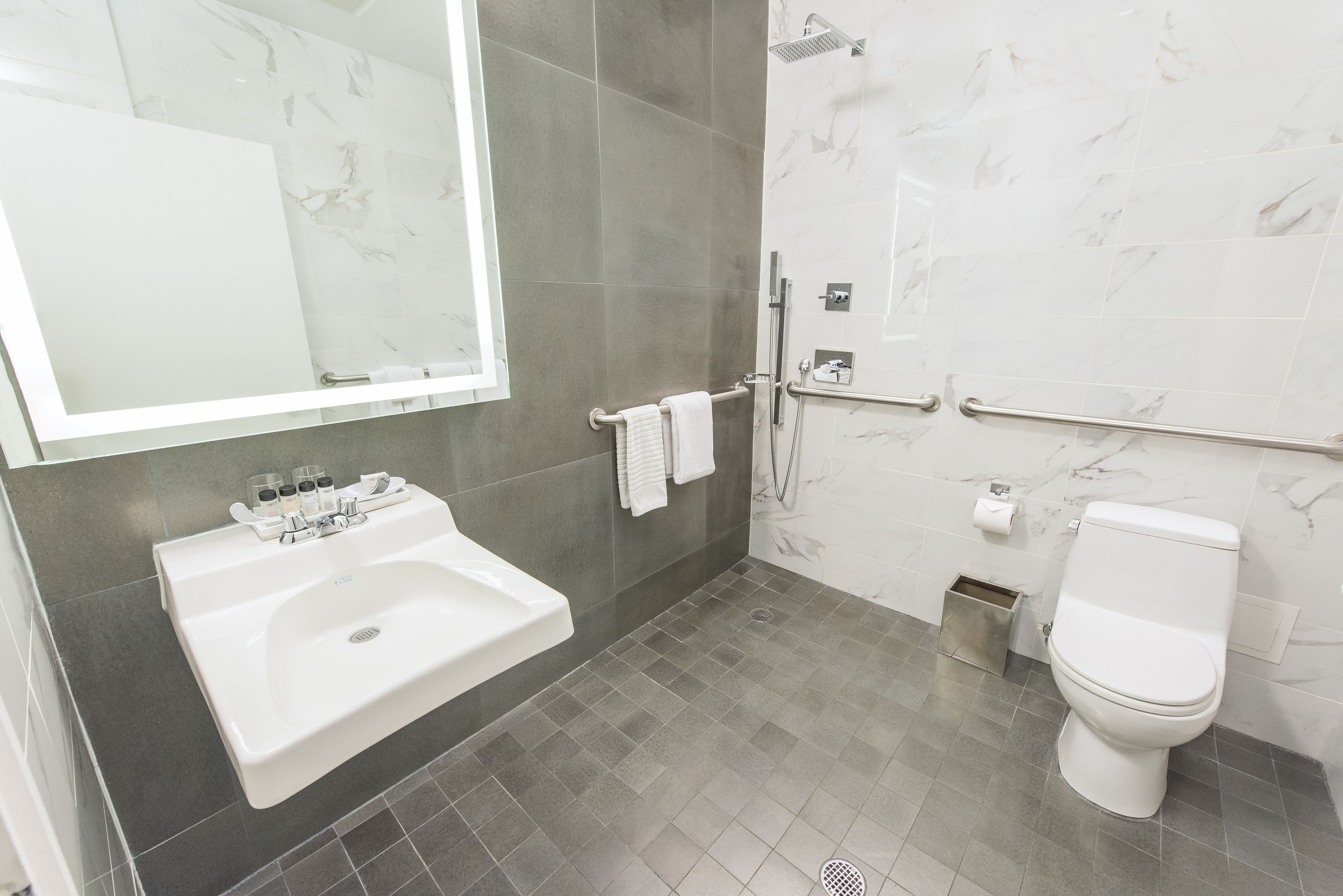 room, 1 king bed (ada) | bathroom | shower, rainfall showerhead, designer toiletries, hair dryer