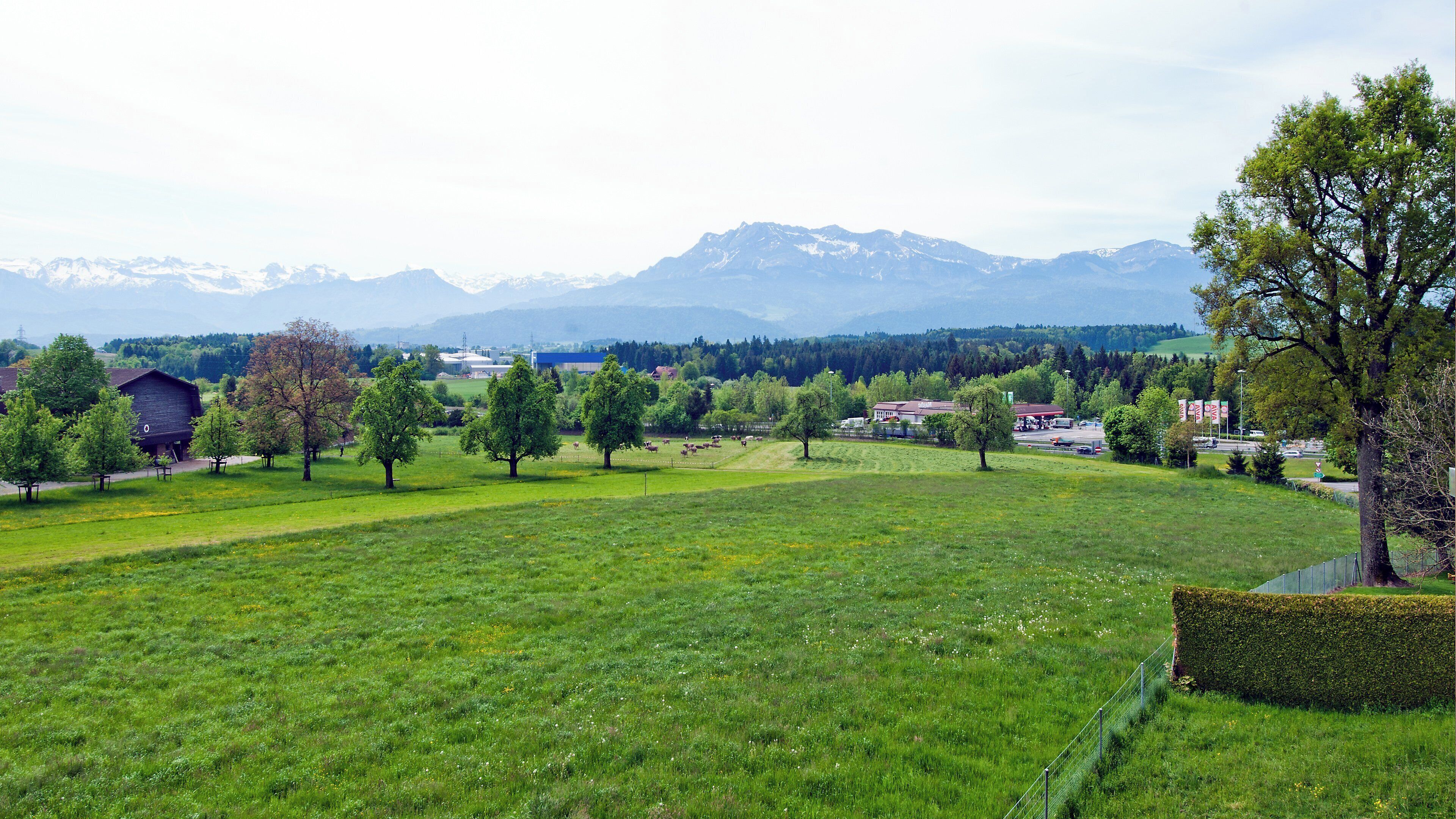 Ländliche Landschaft mit einem Feld, Bäumen und einem Bergmassiv im Hintergrund.
