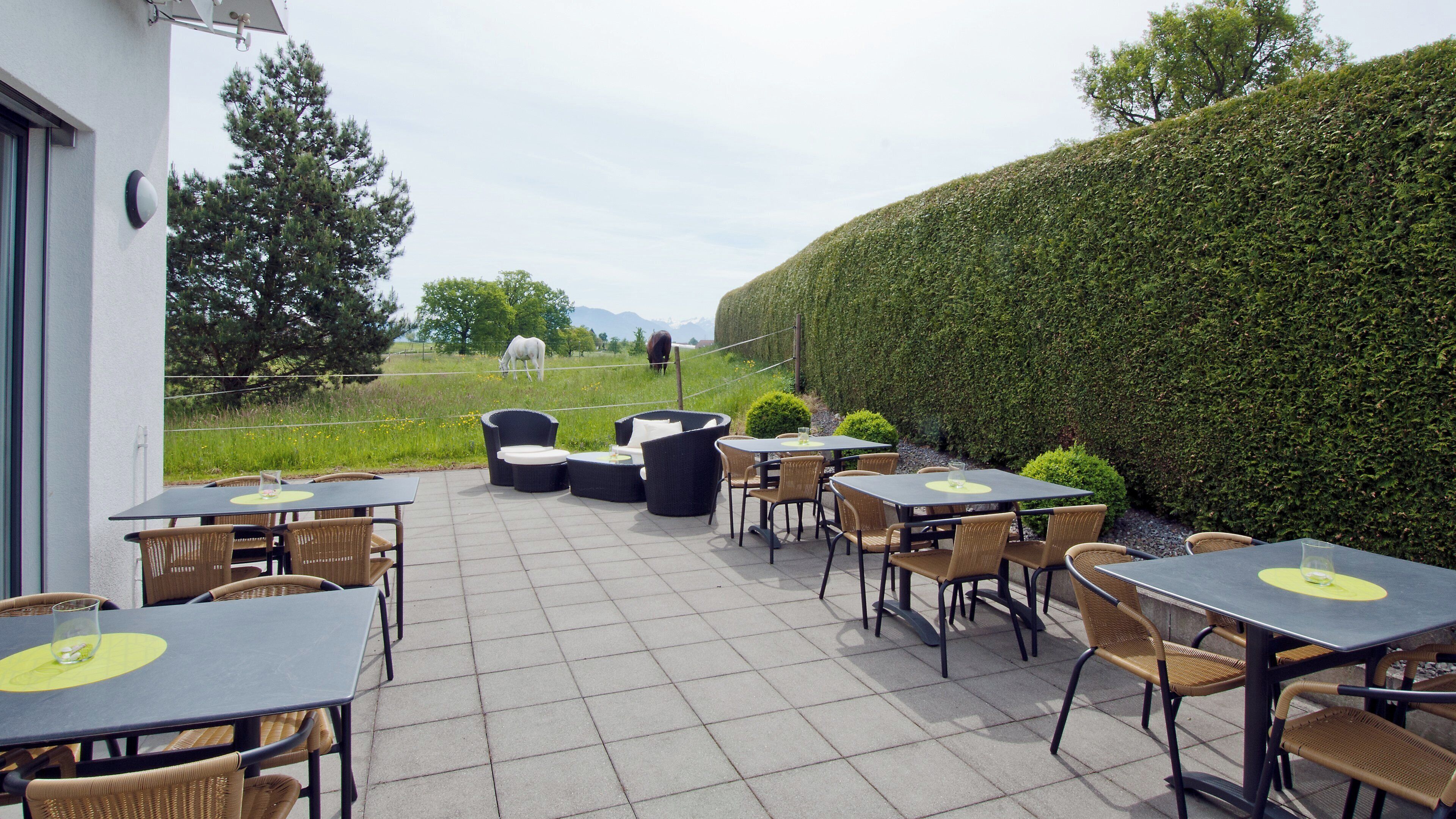 An outdoor patio with tables and chairs, a hedge, and a horse in the background.
