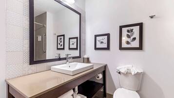 A modern bathroom with a large mirror, a white sink, a toilet, and framed botanical prints on the wall.