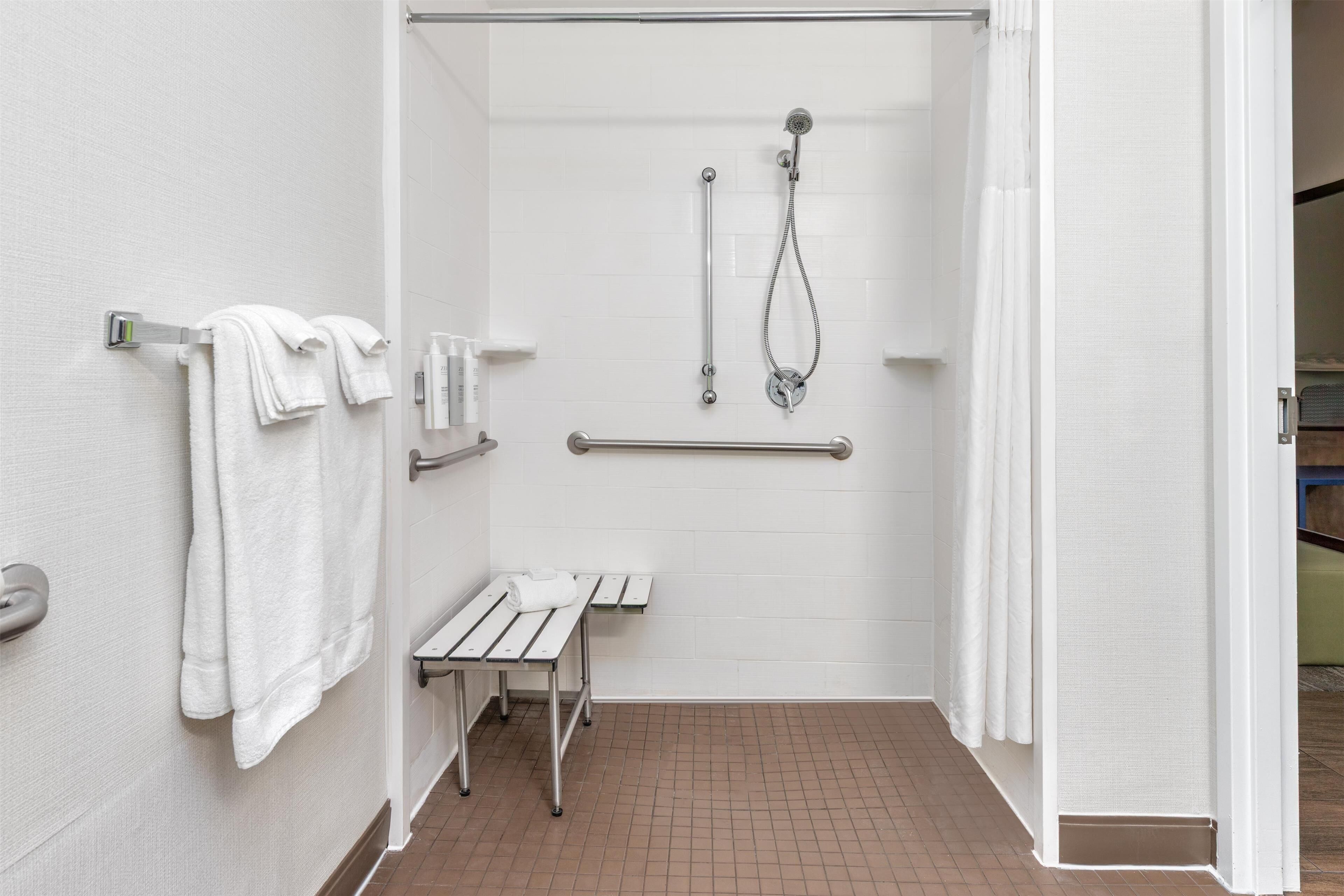 room, 1 king bed, accessible, non smoking | bathroom shower