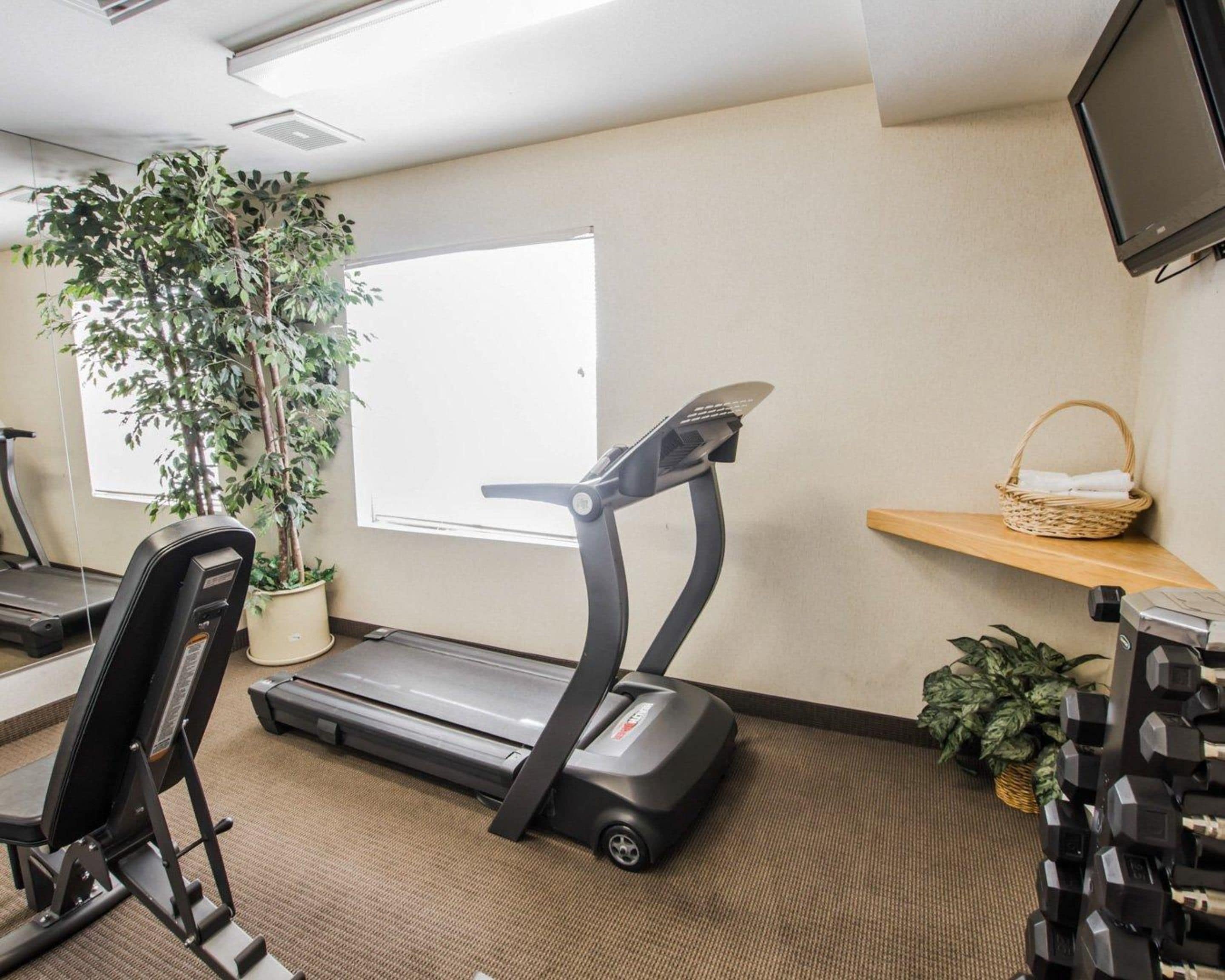 Foto - Sleep Inn Phoenix North I-17