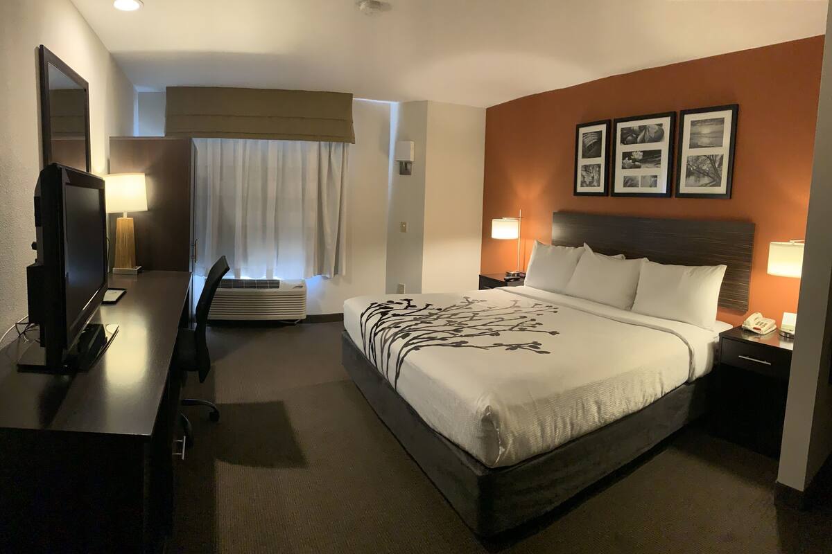 A hotel room with a bed, a TV, a desk, a chair, a lamp, a phone, and framed pictures on the wall.