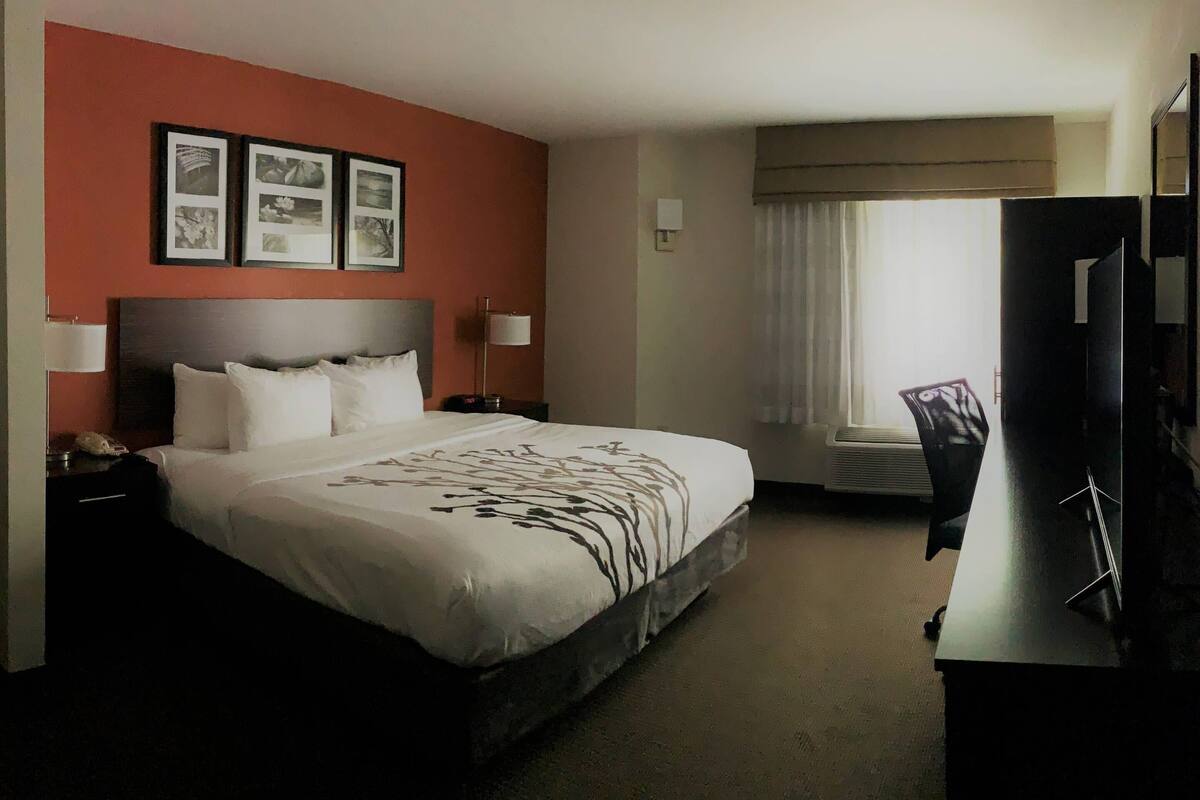 A hotel room with a large bed, a desk with a chair, a television, and framed pictures on the wall.