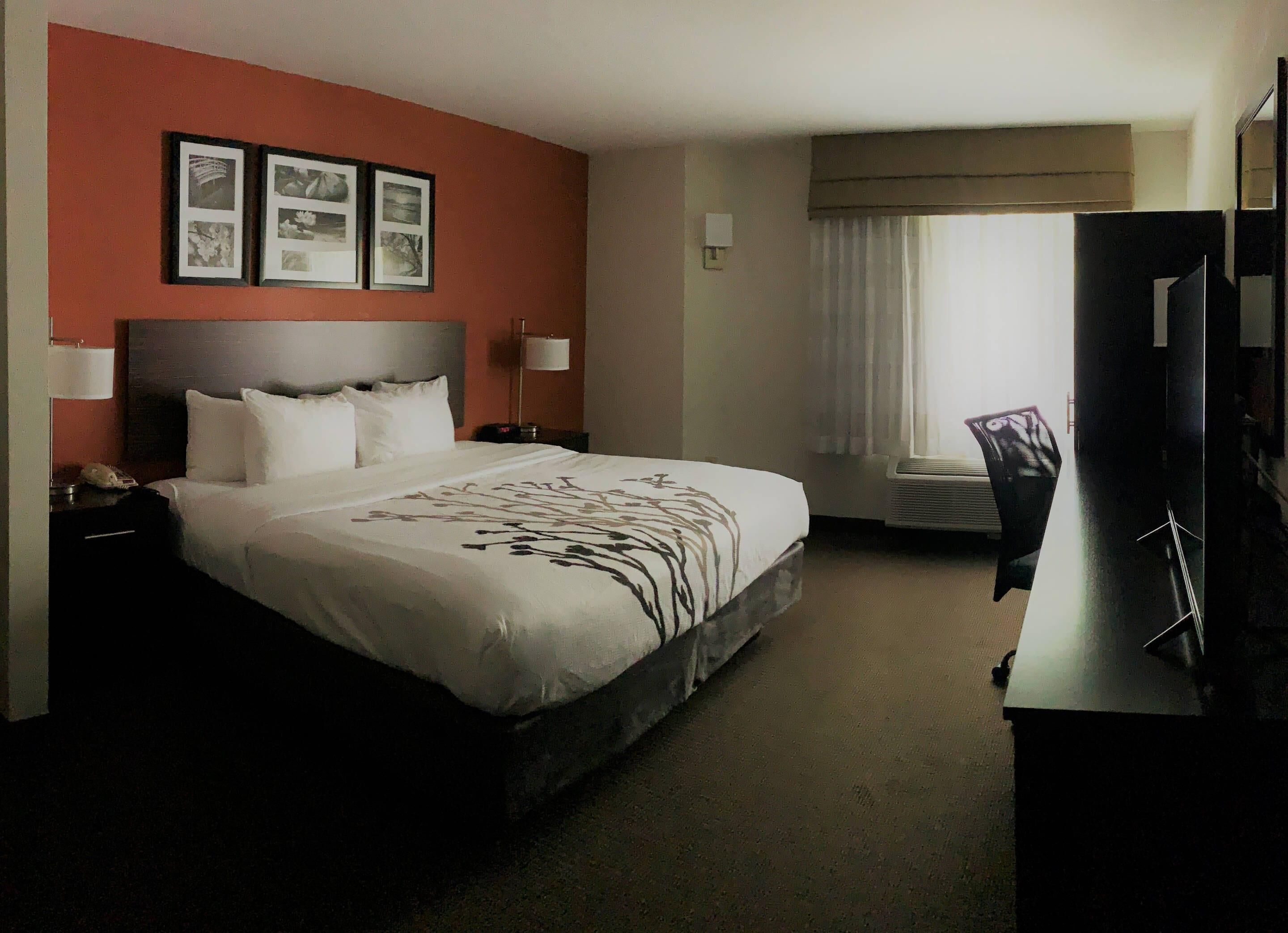 Cubrecamas, cortinas blackout y tabla de planchar con plancha 