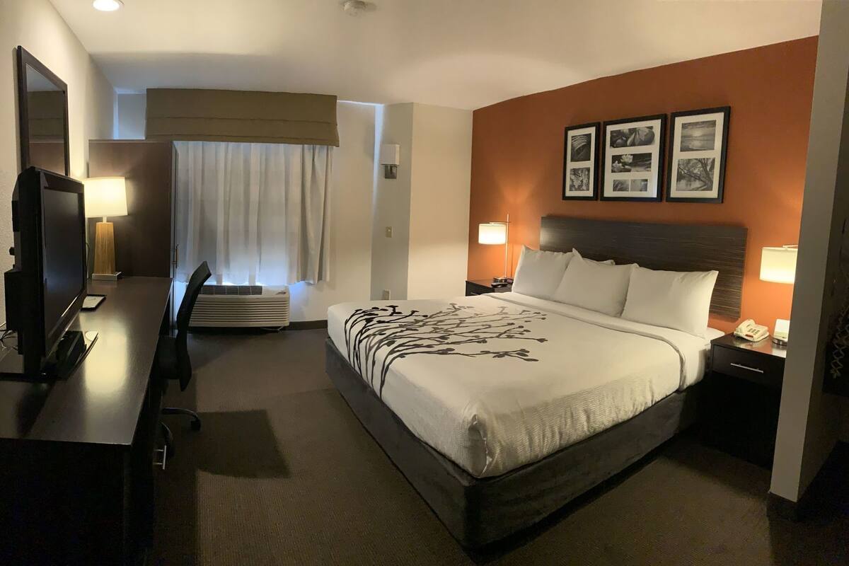 A hotel room with a bed, a desk with a TV, a chair, a lamp, a bedside table with a phone, and framed pictures on the wall.
